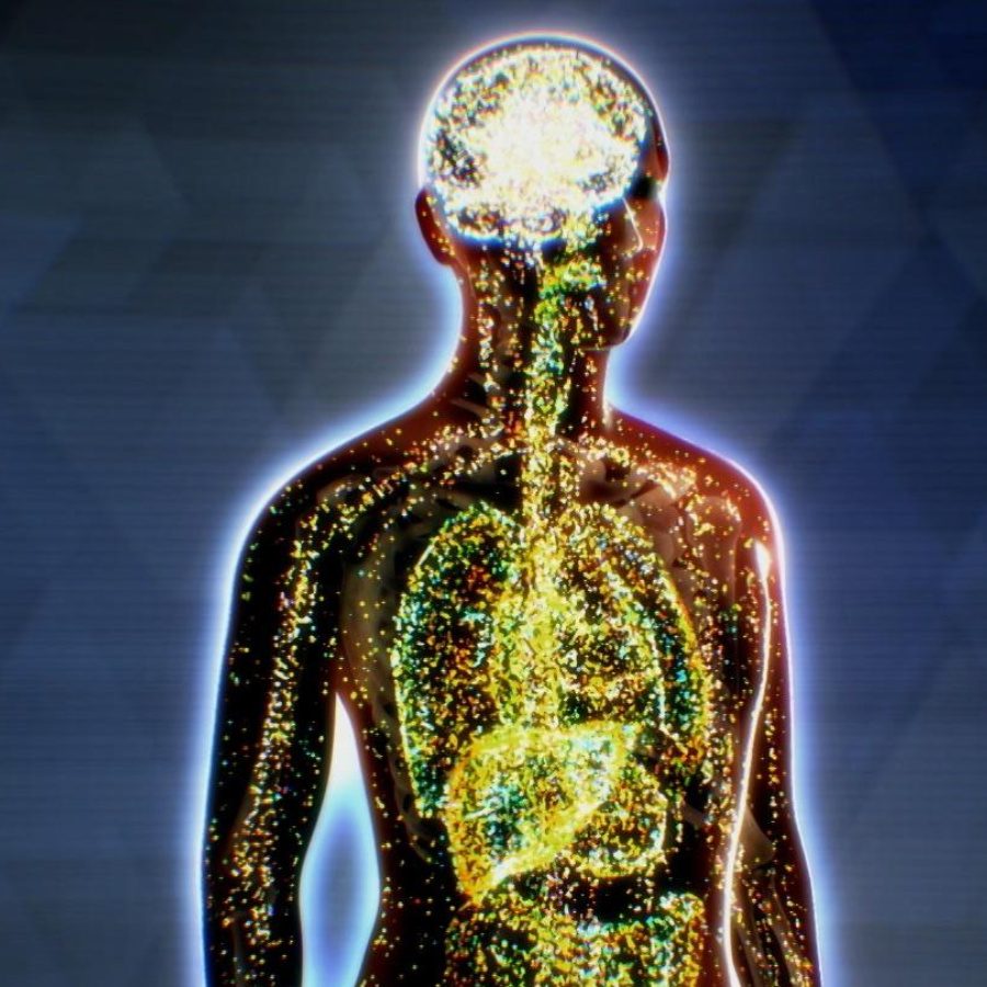 How Delta 8 Works in the Body(2) How Delta 8 Works in the Body(2)
